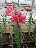 [4570 VH46 No01.JPG]